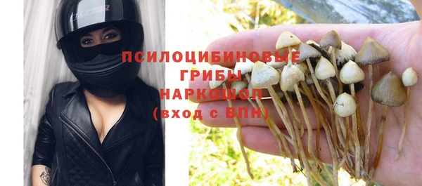 шишки Бронницы