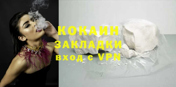 шишки Бронницы