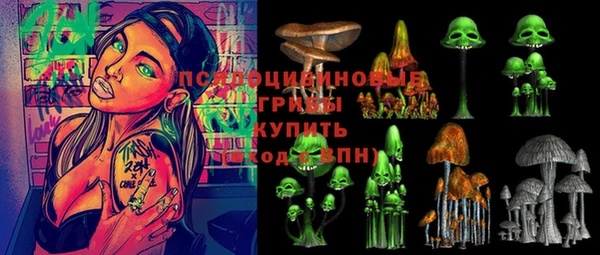 шишки Бронницы