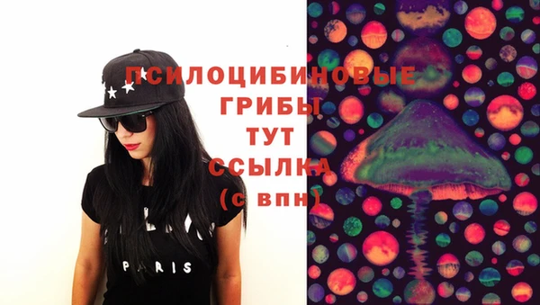 spice Бугульма